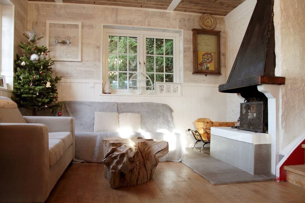 Photo of Livingroom in Premanon