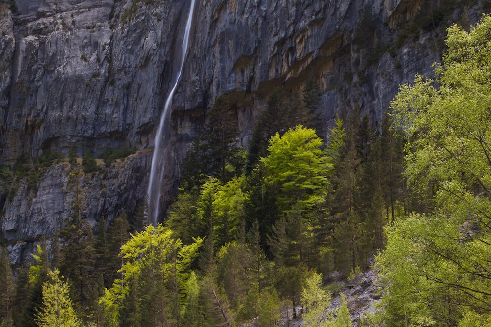 Photo of Outdoor in Torla-Ordesa