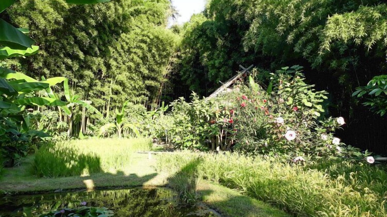 Photo of Outdoor in Arpaillargues-et-Aureillac