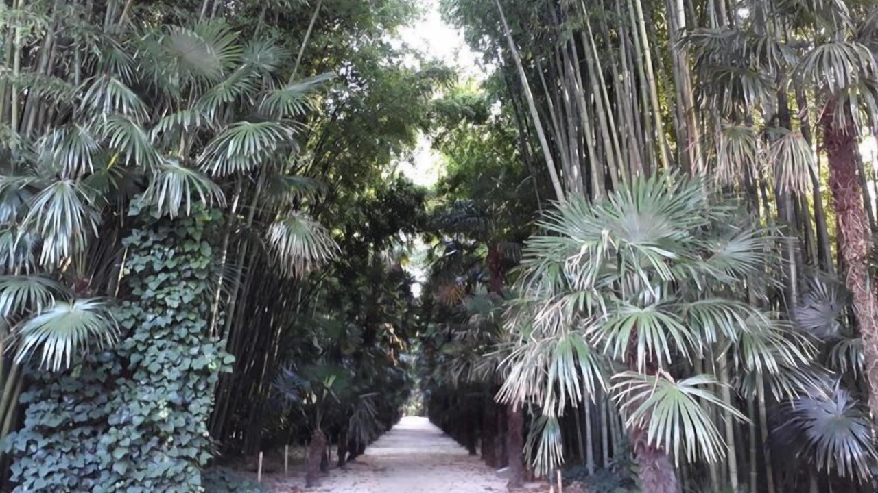 Photo of Outdoor in Arpaillargues-et-Aureillac