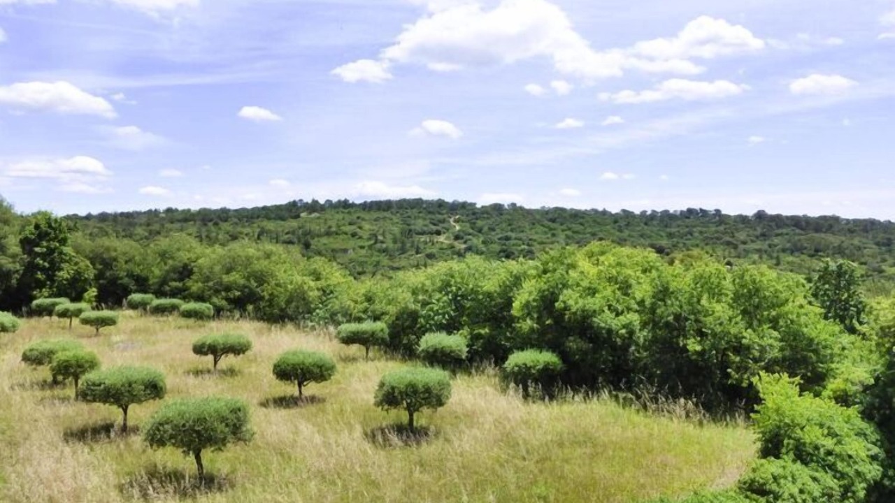 Photo of Outdoor in Arpaillargues-et-Aureillac