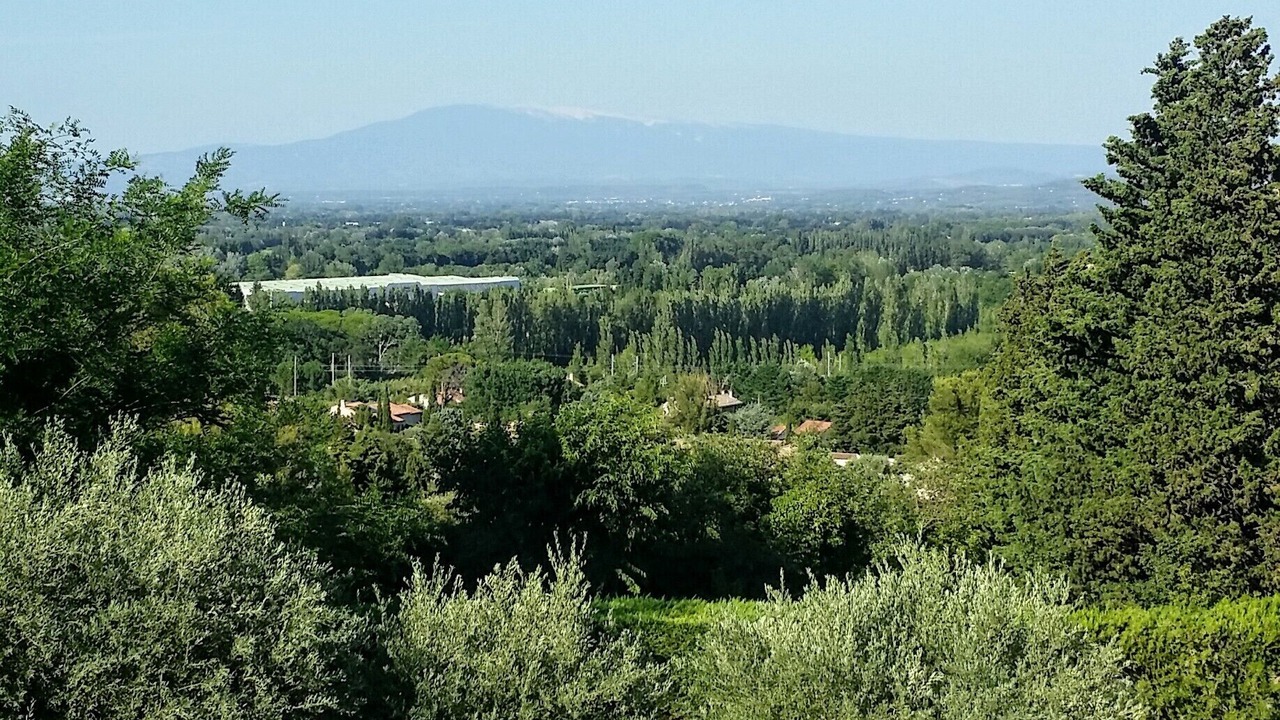 Photo of Outdoor in Chateauneuf-de-Gadagne