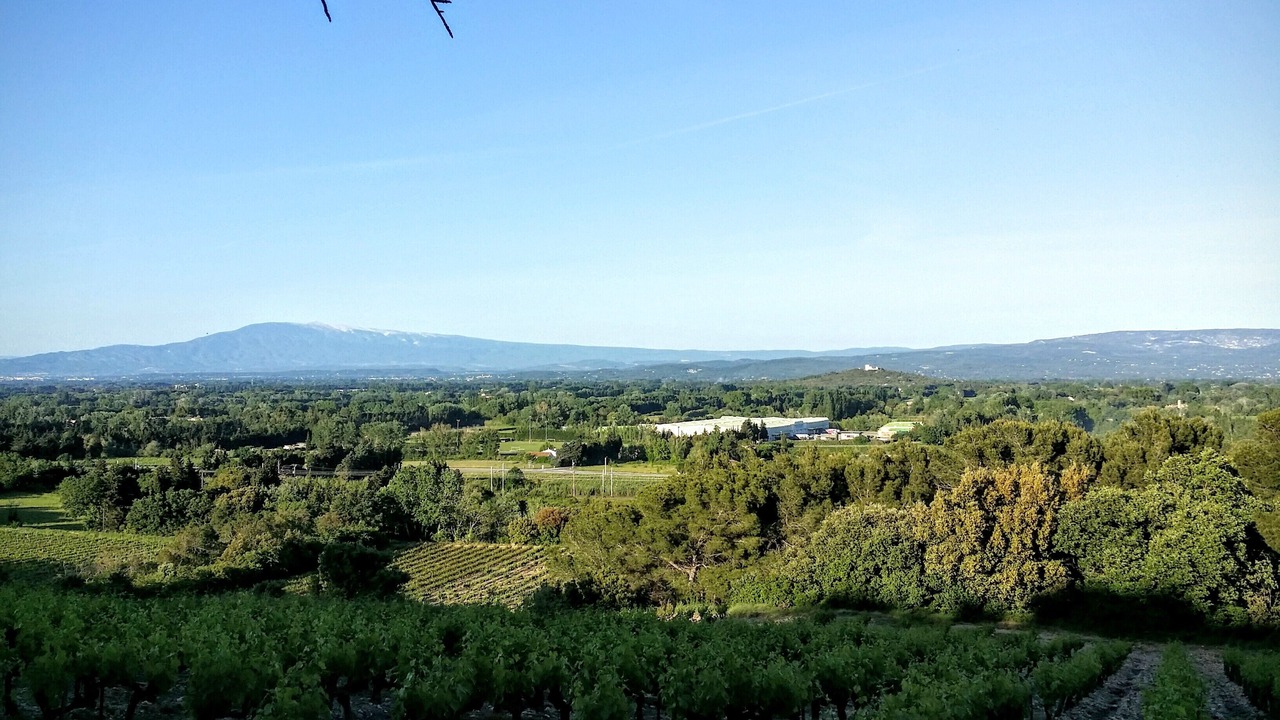 Photo of Others in Chateauneuf-de-Gadagne