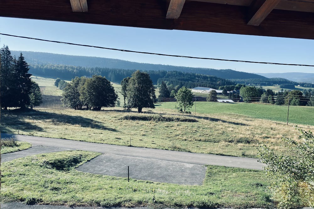 Photo of Others in Morbier