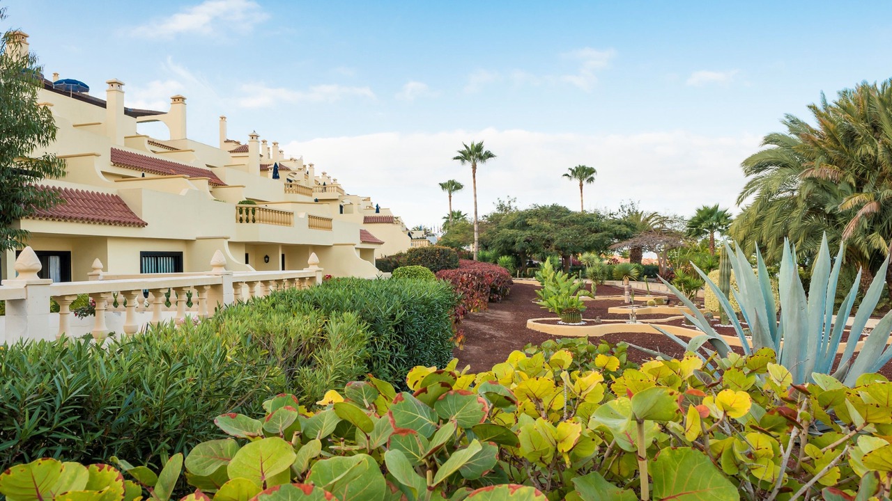 Photo of Outdoor in Costa Adeje