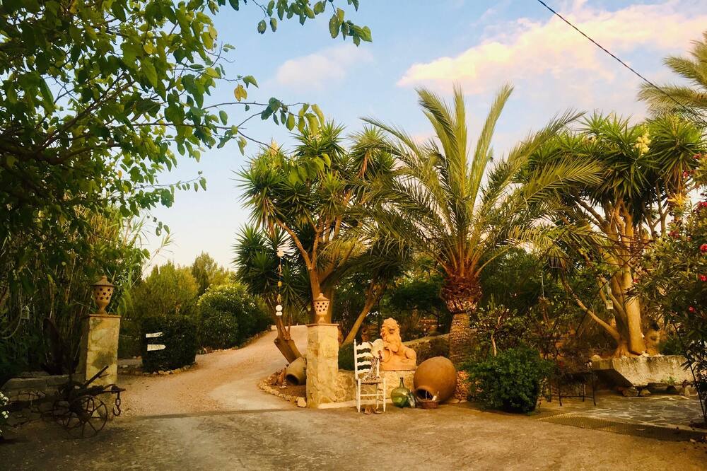 Photo of Outdoor in Son Macia