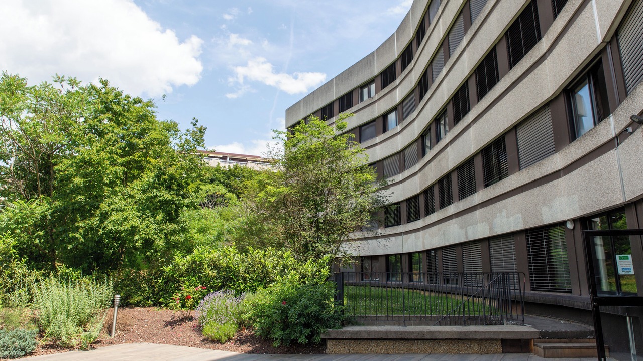 Photo of Outdoor in Ferney-Voltaire