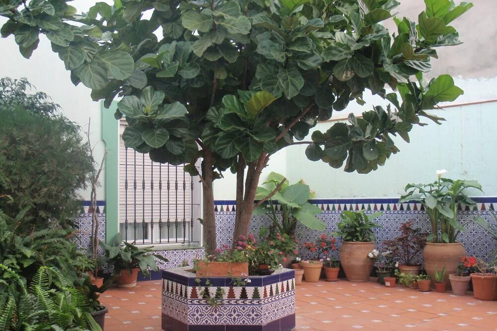 Photo of Patio Balcony in Pueblo Nuevo