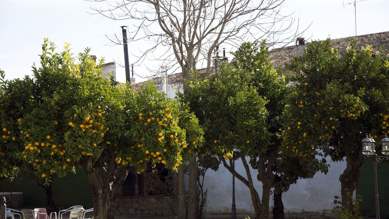 Photo of Outdoor in Trujillo