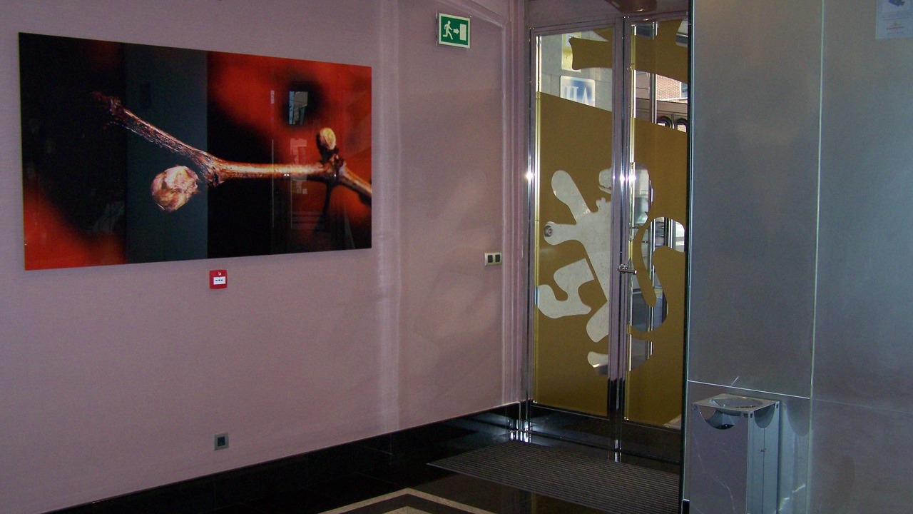 Photo of Others in Valladolid