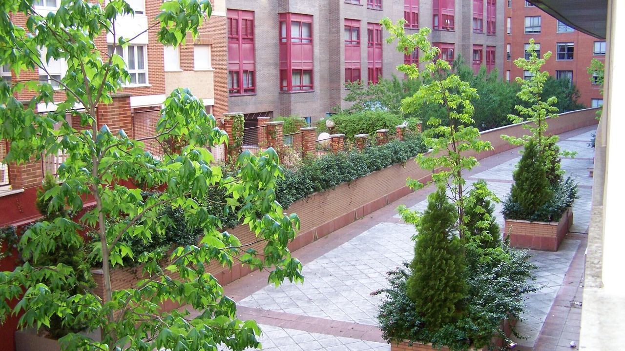 Photo of Outdoor in Valladolid