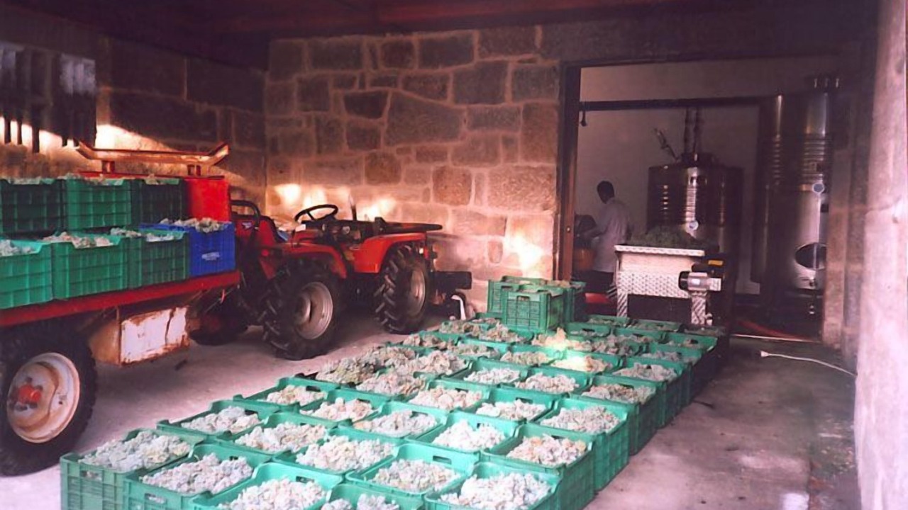 Photo of Others in Vilaboa