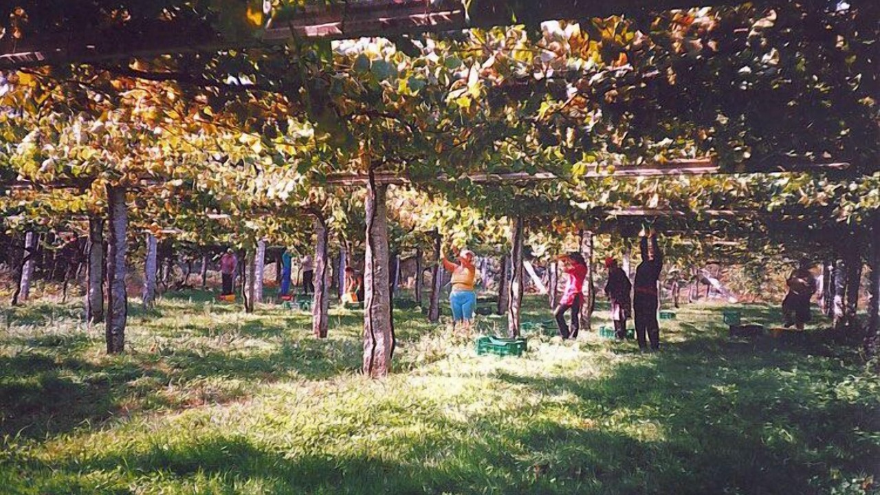 Photo of Outdoor in Vilaboa