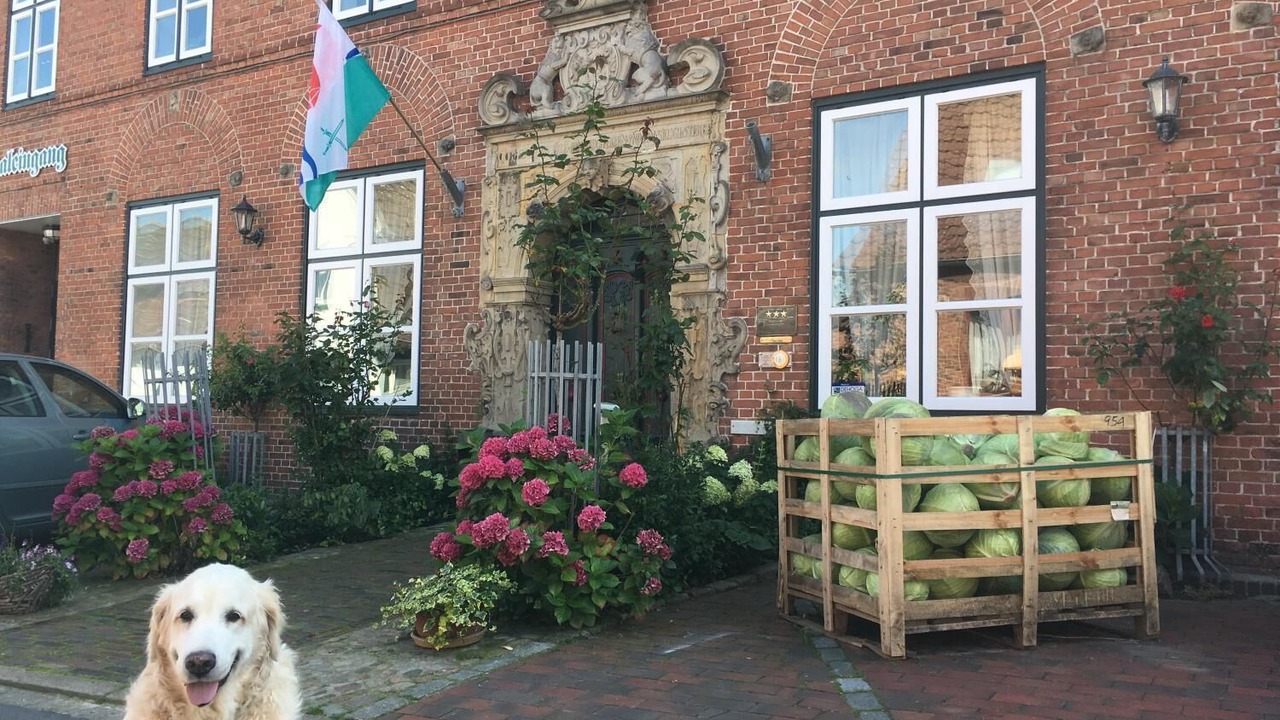 Photo of Outdoor in Woehrden
