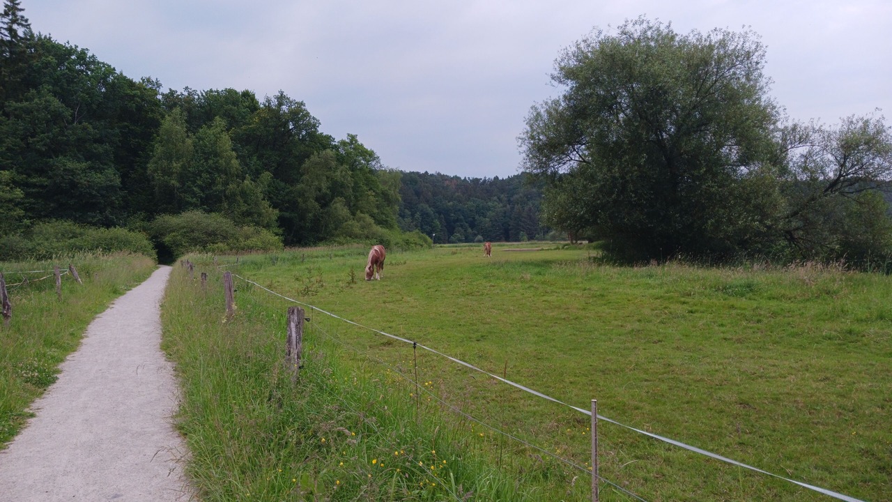 Photo of Outdoor in Bad Fallingbostel
