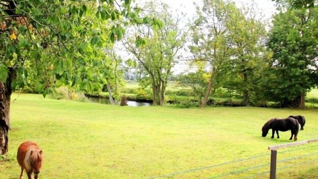 Photo of Outdoor in Middelhagen