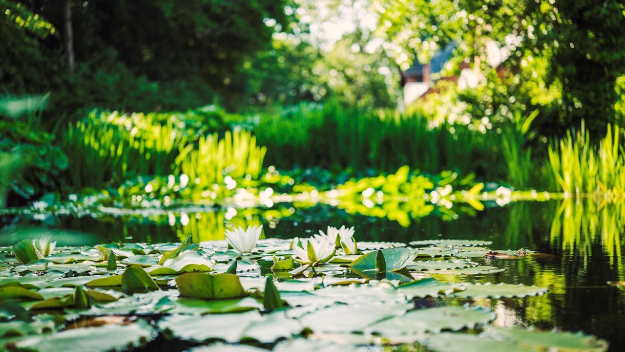Photo of Outdoor in Tinnum