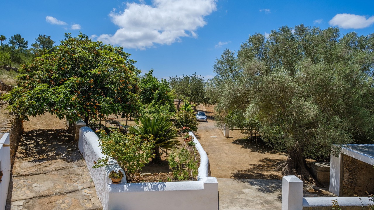 Photo of Outdoor in Sant Carles de Peralta