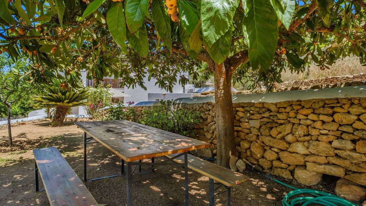 Photo of Outdoor in Sant Carles de Peralta