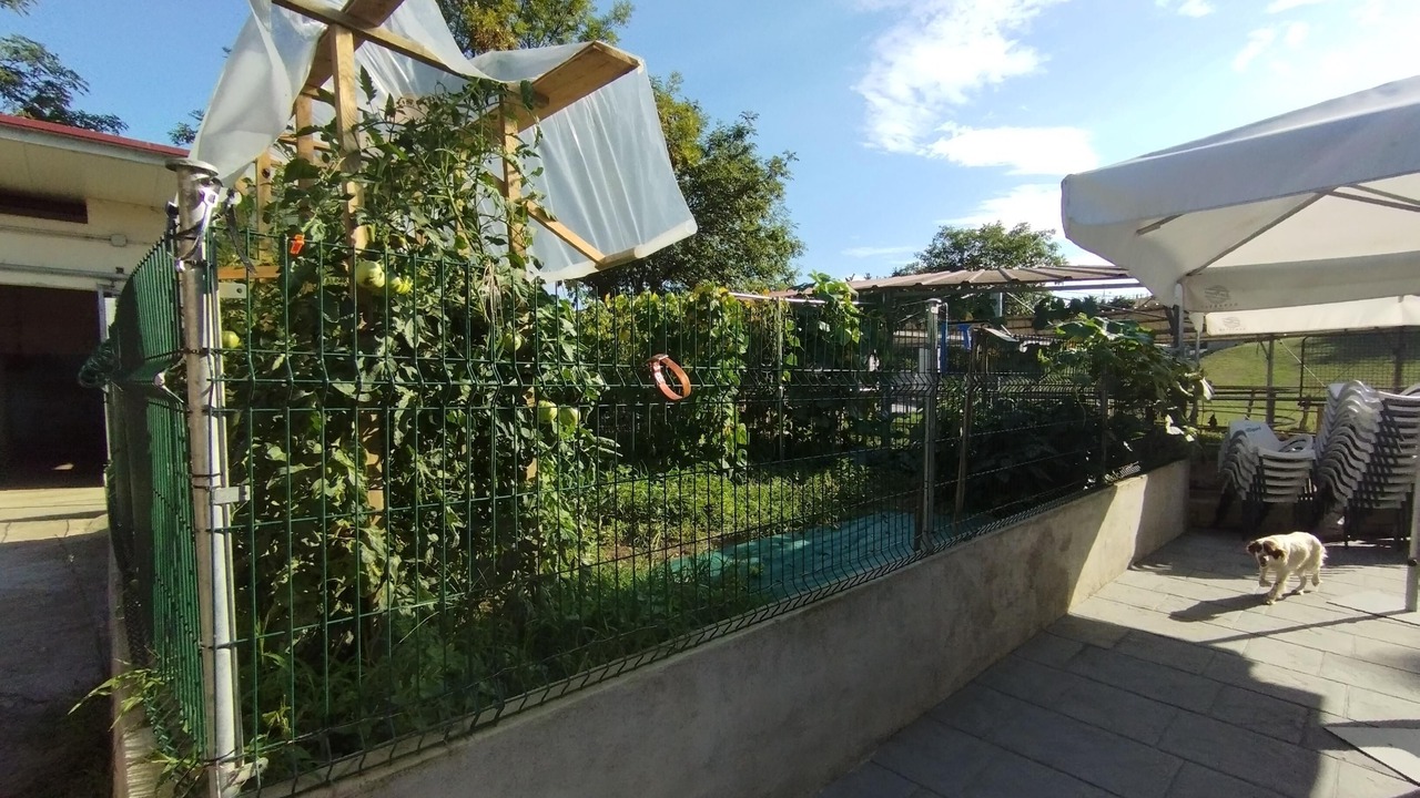 Photo of Outdoor in Lazkao