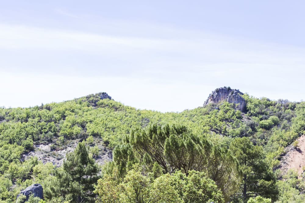 Photo of Others in Trillo