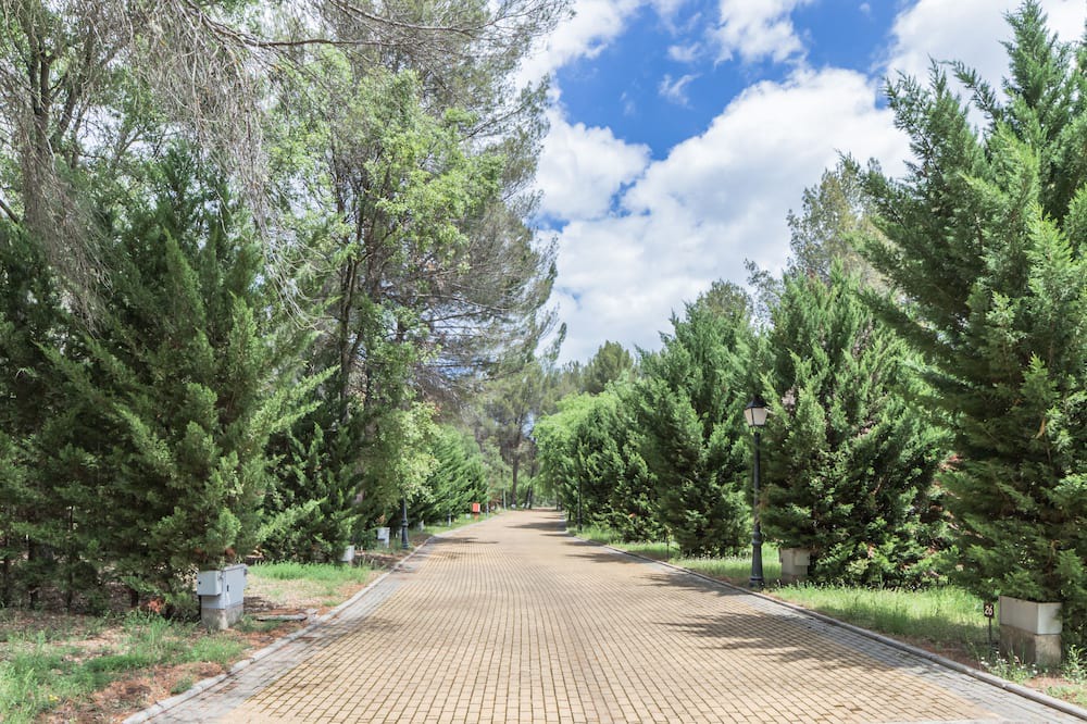 Photo of Outdoor in Trillo