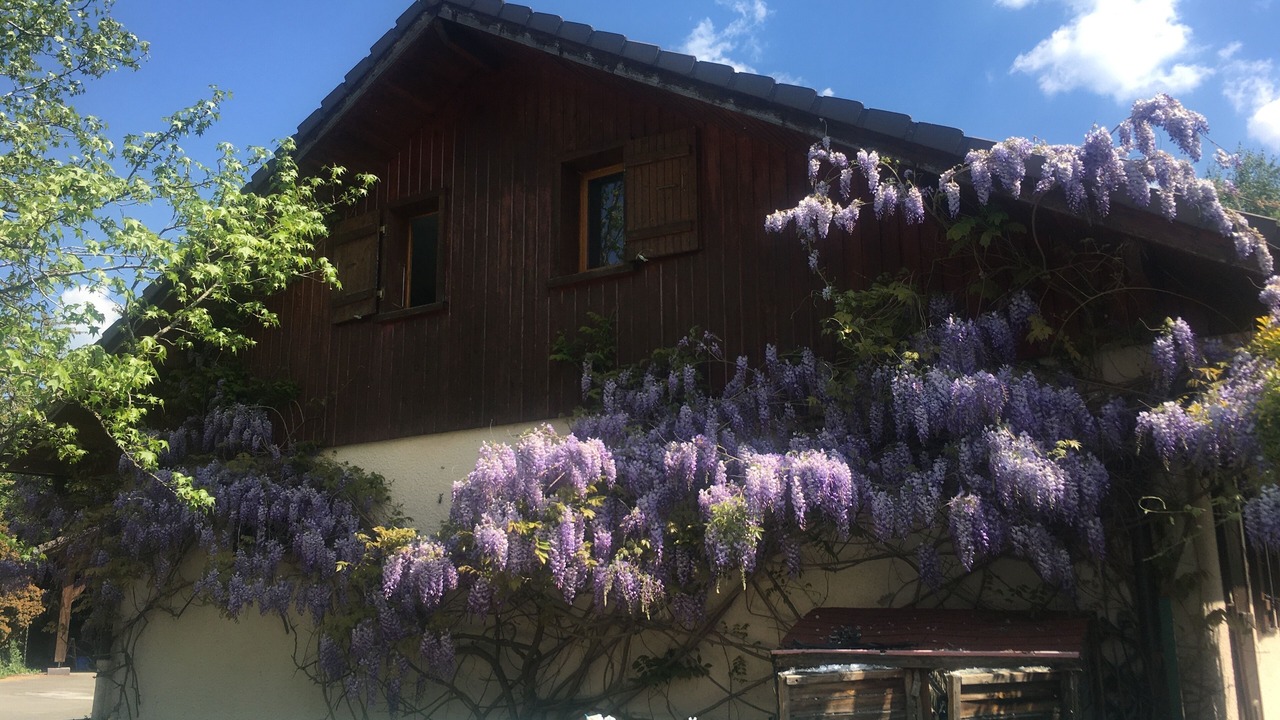Photo of Outdoor in Copponex