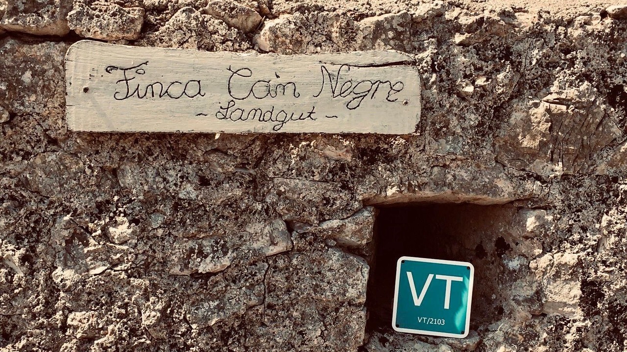 Photo of Outdoor in Son Macia
