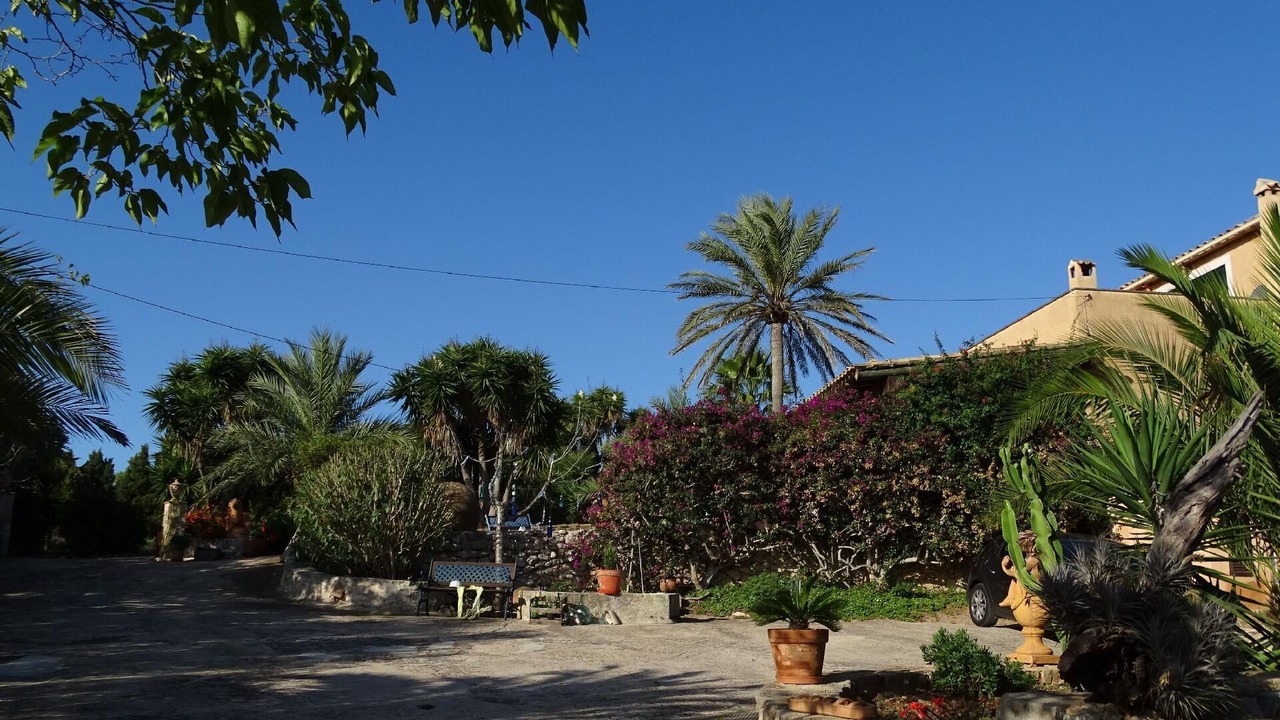 Photo of Outdoor in Son Macia