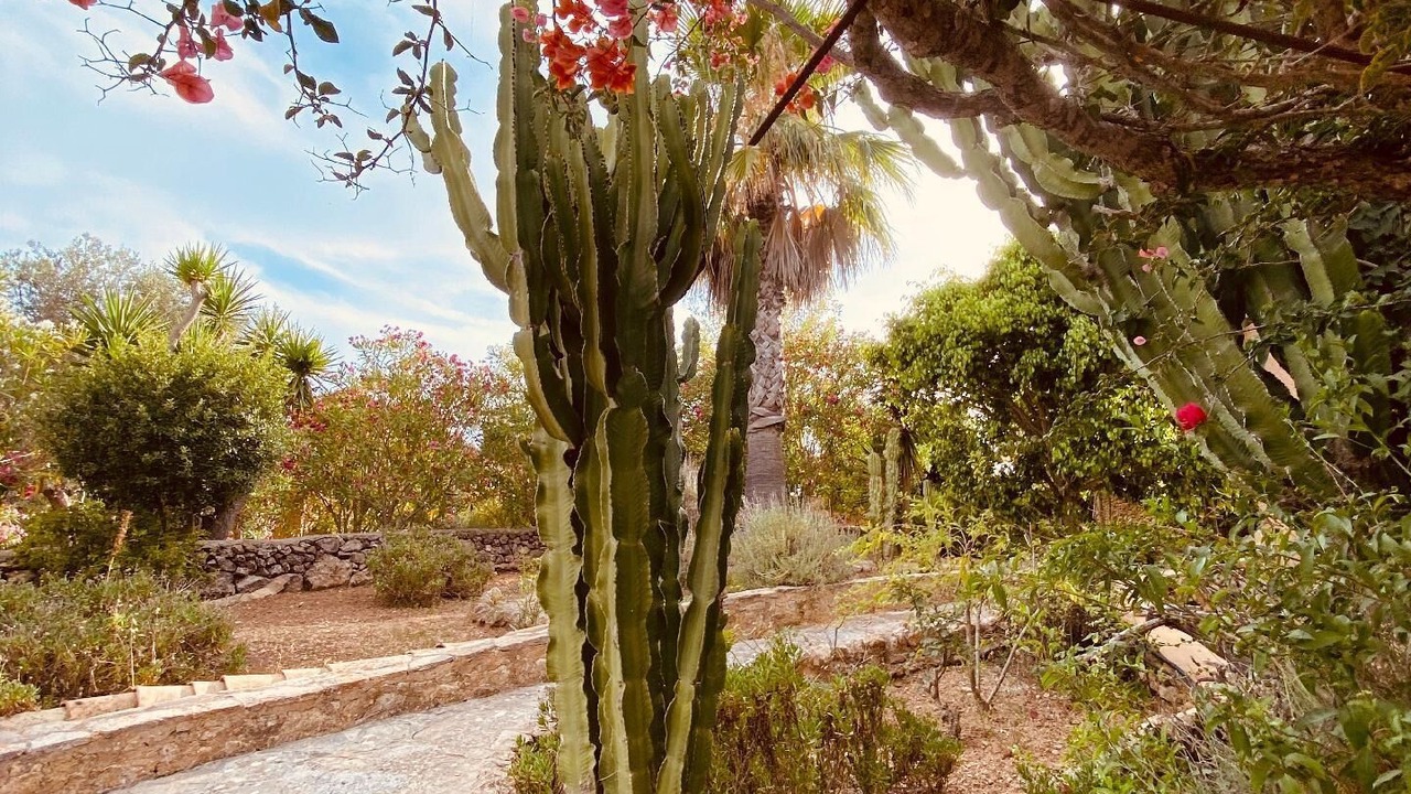 Photo of Outdoor in Son Macia