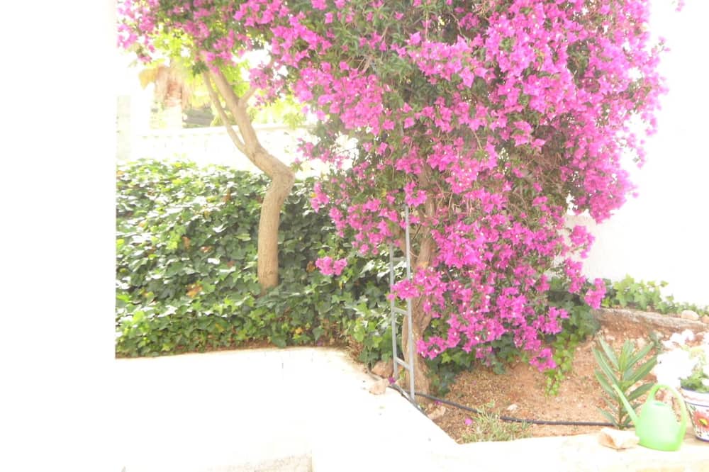 Photo of Outdoor in La Font d'en Carros