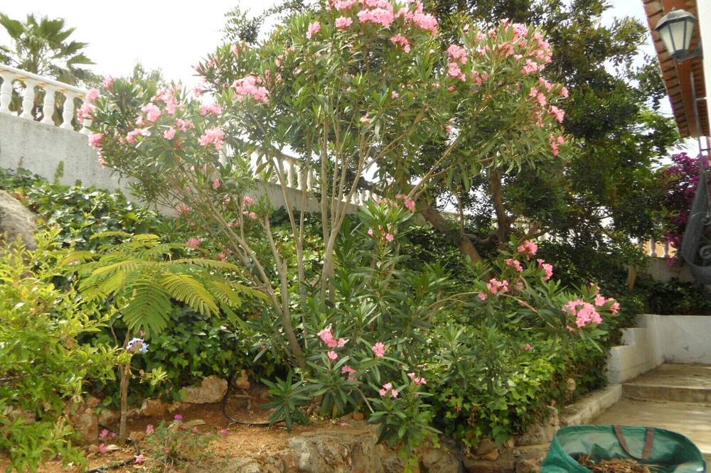 Photo of Outdoor in La Font d'en Carros