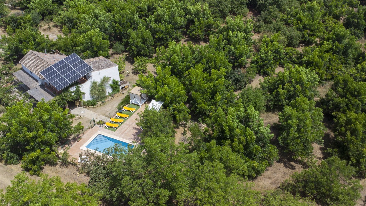 Photo of Outdoor in Coin