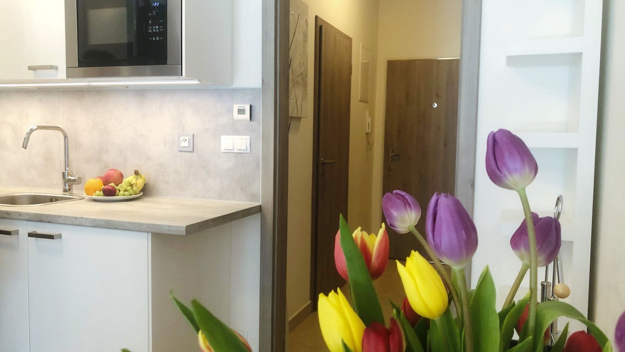Photo of Kitchen in Zlicin