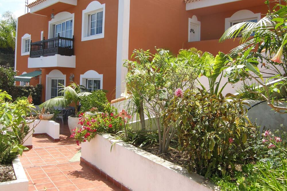 Photo of Outdoor in La Guancha