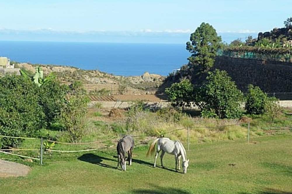 Photo of Outdoor in La Guancha