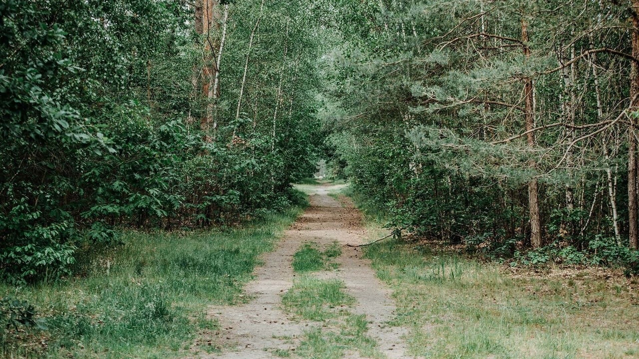 Photo of Outdoor in Sassenburg