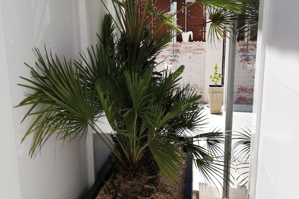 Photo of Outdoor in Llevant