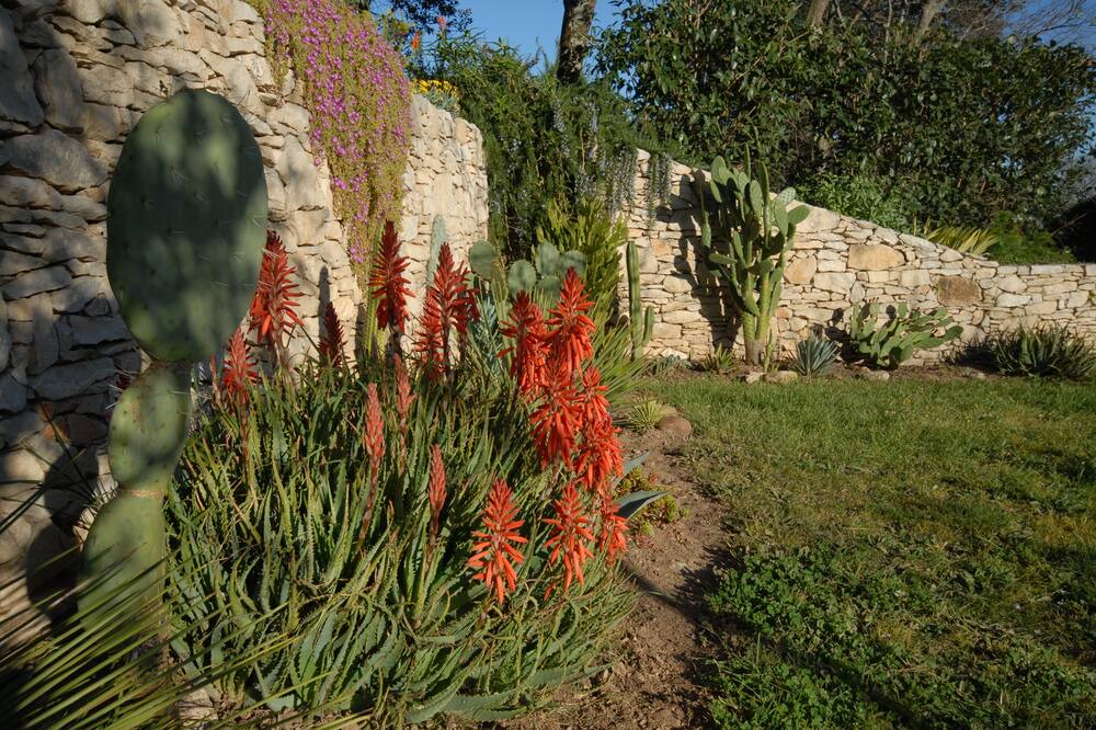 Photo of Outdoor in Cabrieres