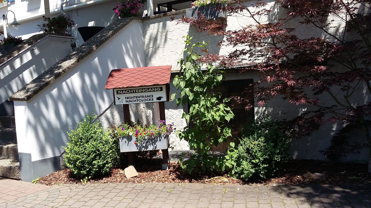 Photo of Outdoor in Bad Homburg v.d. Hoehe