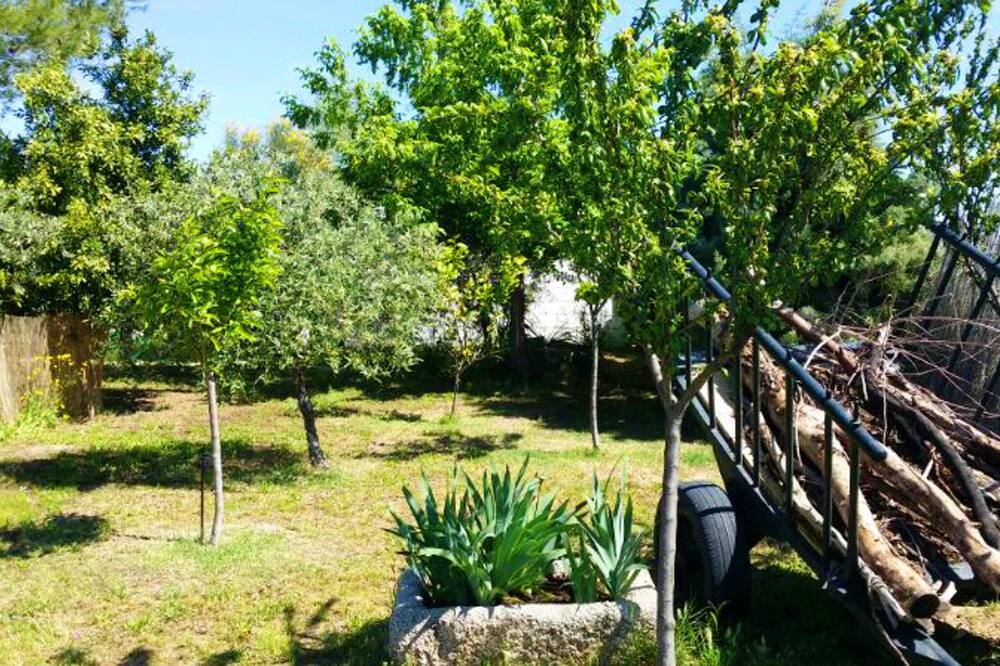 Photo of Outdoor in Mirandilla