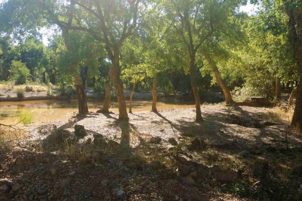 Photo of Outdoor in Mirandilla