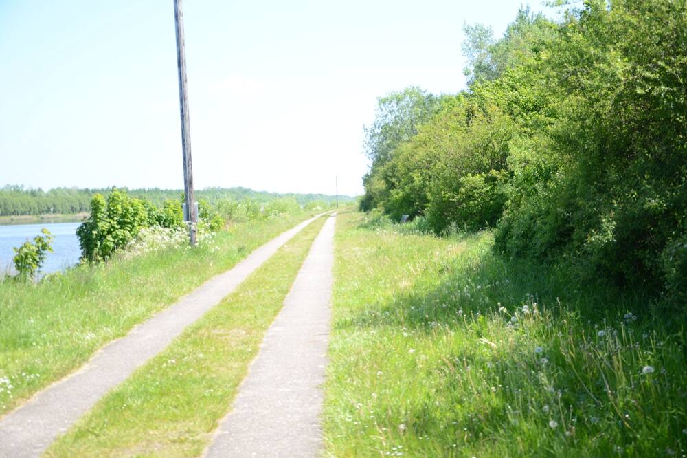 Photo of Others in Oldenbuttel