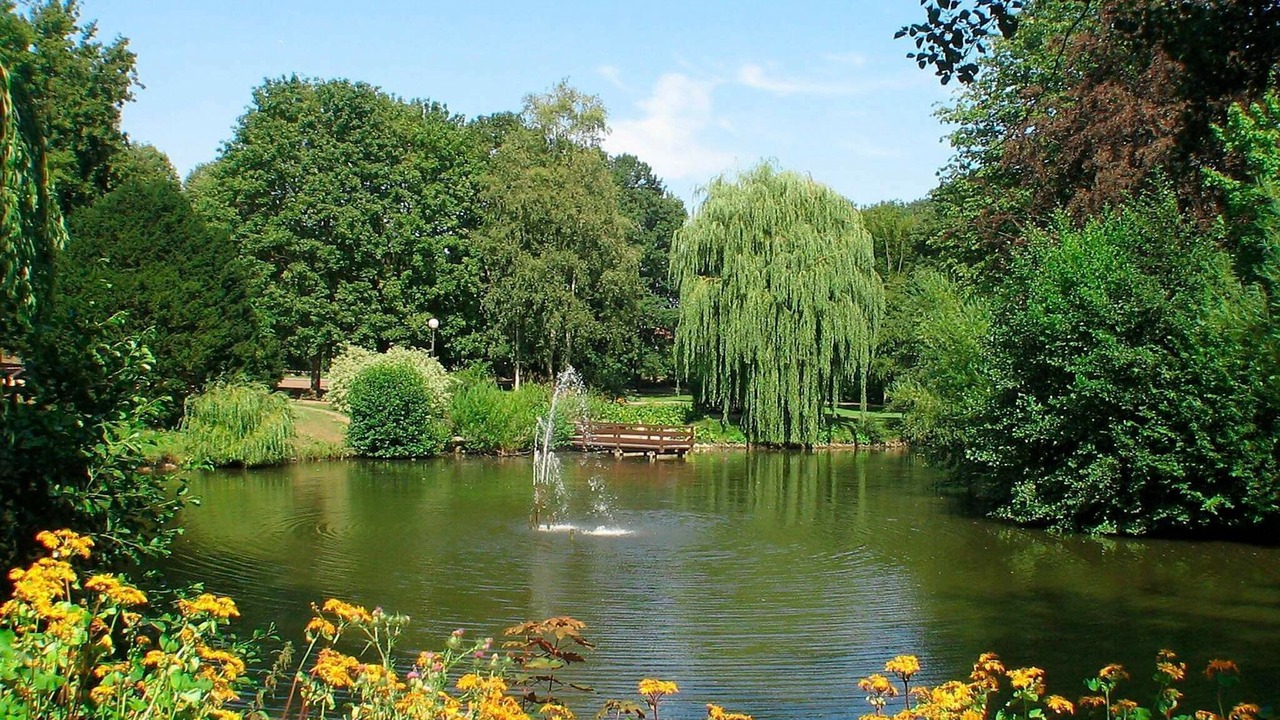 Photo of Others in Lensterstrand
