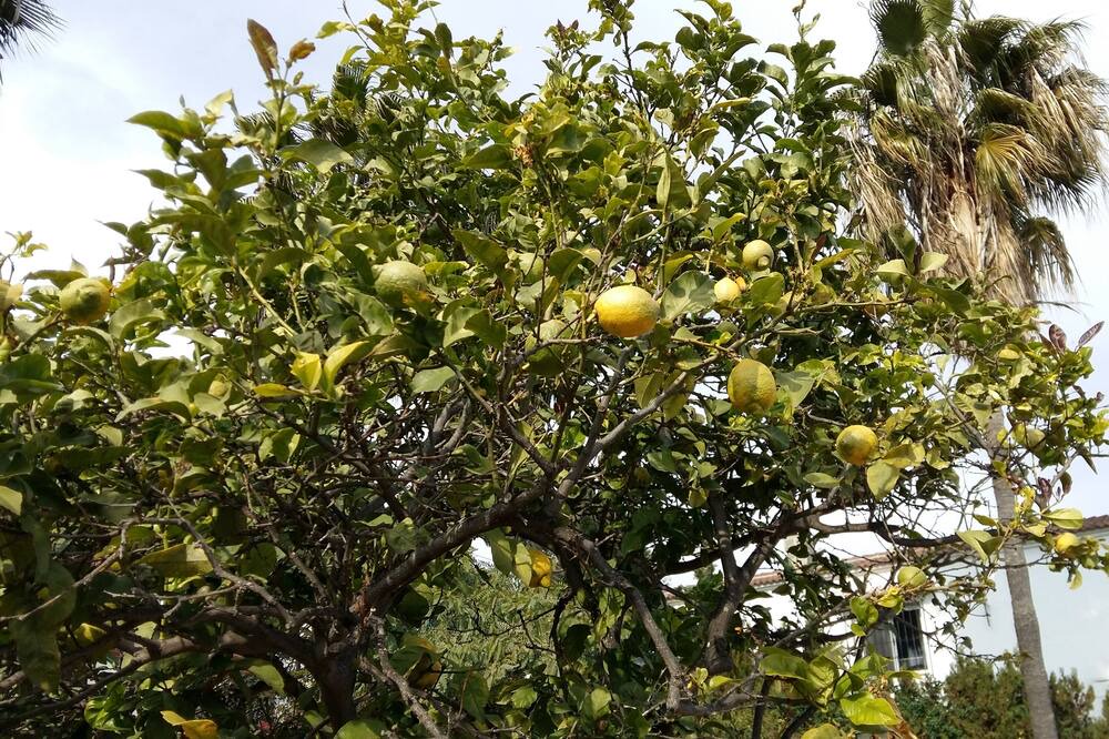 Photo of Outdoor in Almayate Bajo