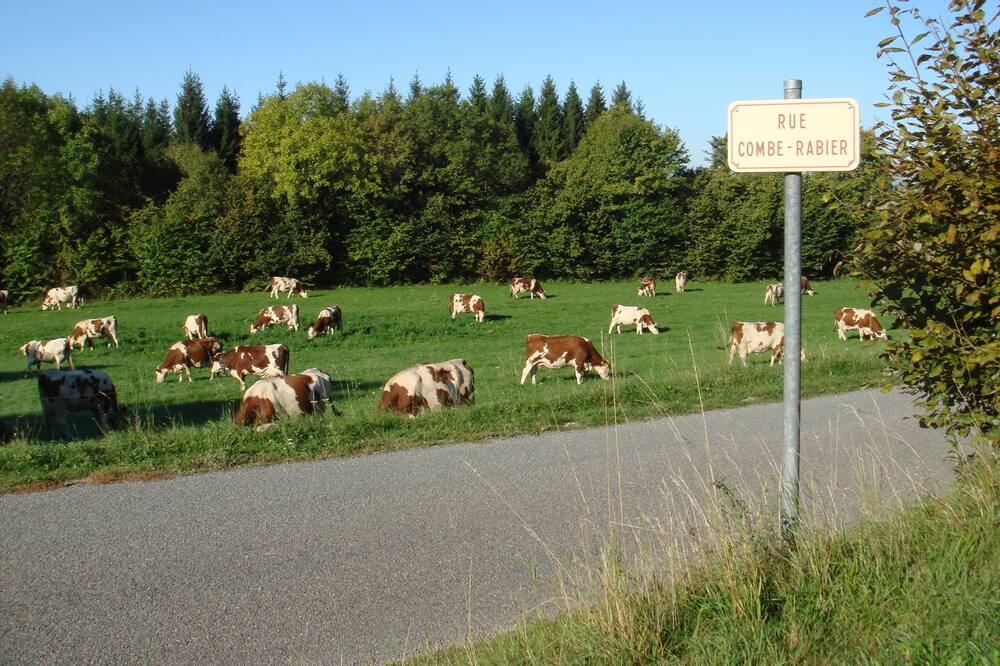 Photo of Outdoor in Saint-Maurice-Crillat