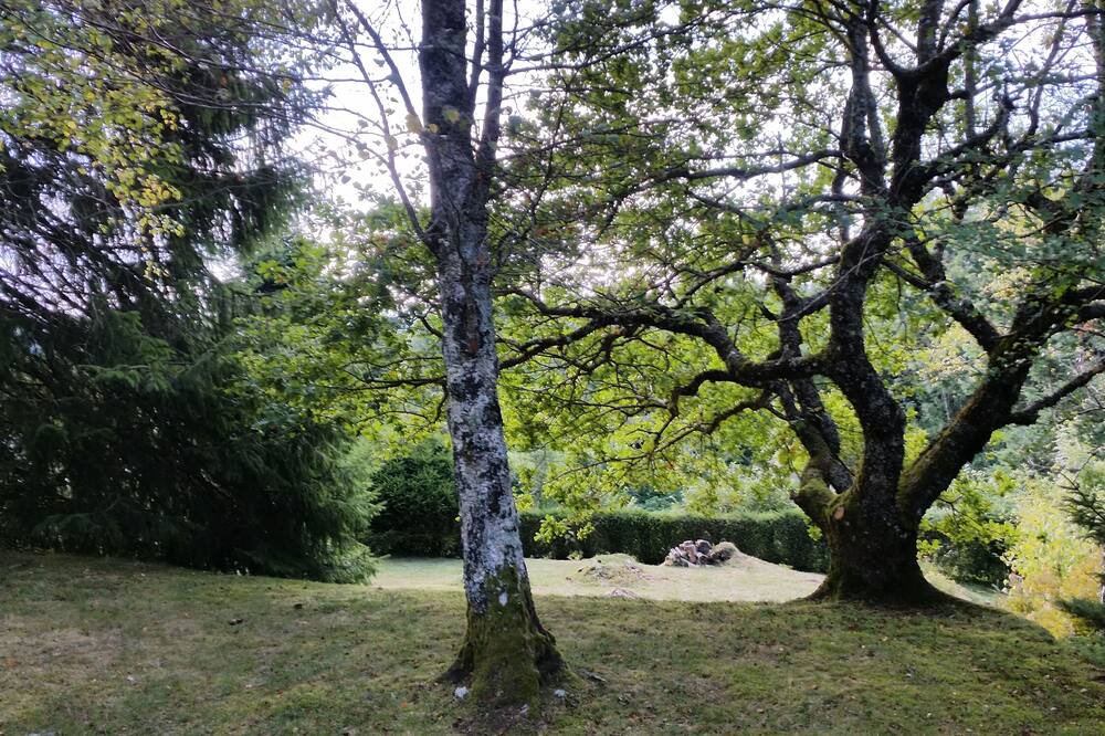 Photo of Outdoor in Saint-Maurice-Crillat