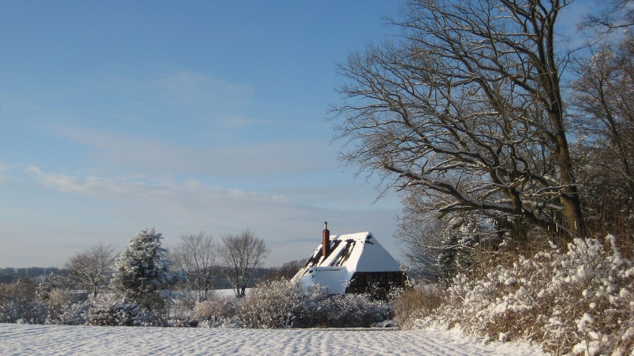 Photo of Outdoor in Suesel