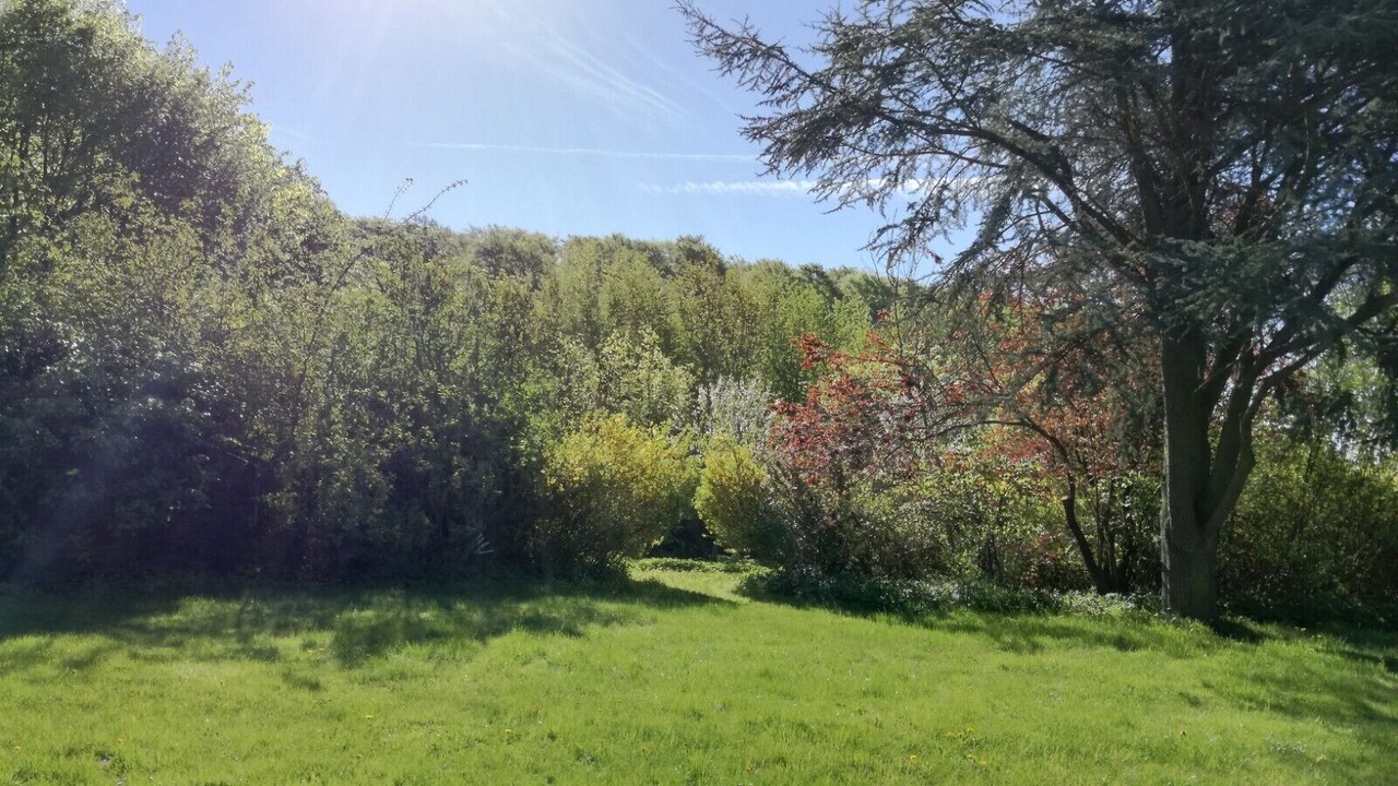 Photo of Outdoor in Suesel