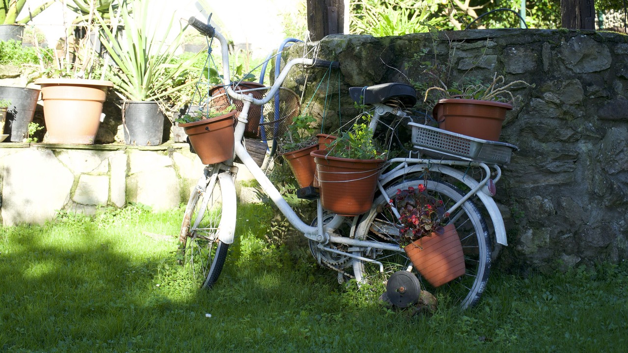 Photo of Outdoor in Ribamontan al Monte